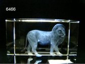 Glasblokje leeuw