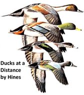 Ducks at a Distance: a Waterfowl Identification Guide, Illustrated