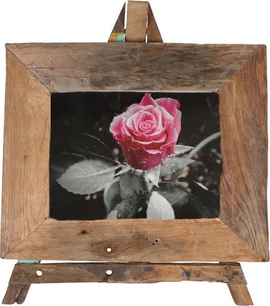 Foto met roze roos 20 x 30 cm