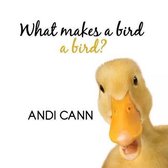 Animal Classes- What Makes a Bird a Bird?