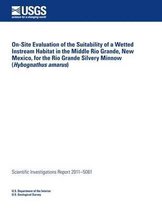 On-Site Evaluation of the Suitability of a Wetted Instream Habitat in the Middle Rio Grande, New Mexico, for the Rio Grande Silvery Minnow (Hybognathus Amarus)