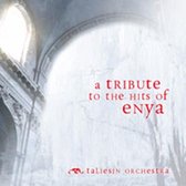Tribute To The Hits Of Enya