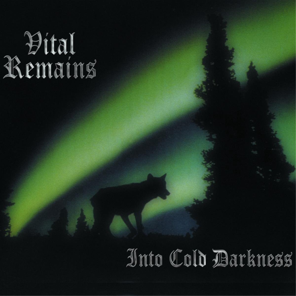 Into Cold Darkness, Vital Remains | Vinyles (album) | Musique | bol.com