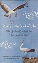 Boek cover RumiS Little Book of Life van Rumi (Paperback)