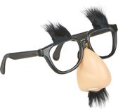 BOLAND BV - Humoristische bril neus met snor - Accessoires > Brillen