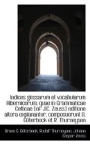 Indices Glossarum Et Vocabularum Hibernicorum, Quae in Grammaticae Celticae [Of J.C. Zeuss] Editione