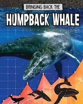 Animals Back from the Brink- Humpback Whale