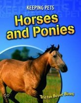 Horses And Ponies
