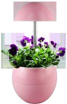 UrbanGreen I-Grow 3 led, roze