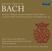 Arcis-Vocalisten München, Barockorchester Lárpa Festante, Thomas Gropper - J.S. Bach: Kantaten Bwv 12 & 147 (CD)