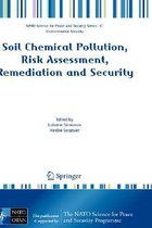 Soil Chemical Pollution, Risk Assessment, Remediation and Security