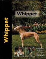 Pet Love Whippet