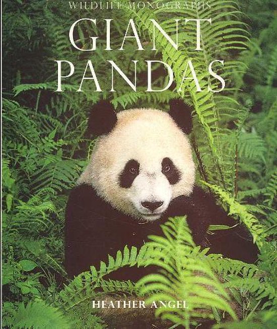 Giant Pandas