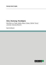 Sinn, Deutung, Paradigma