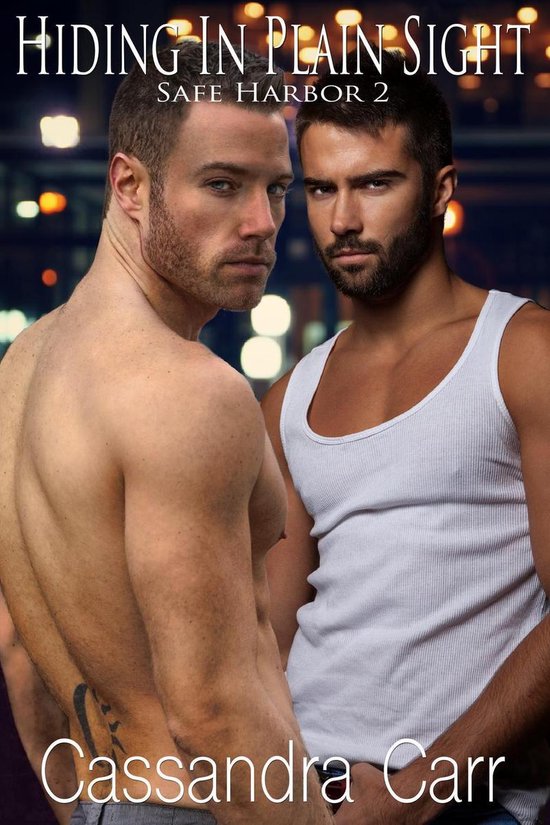 Safe Harbor 2 - Hiding In Plain Sight