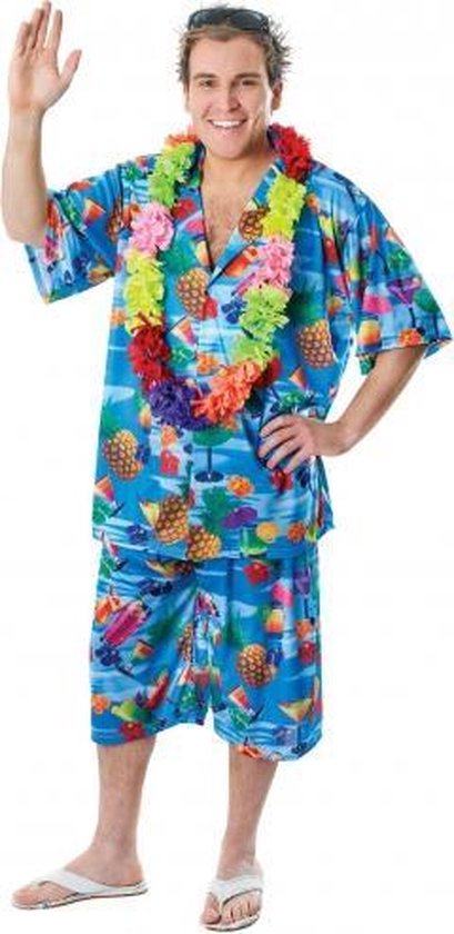 hemel Huiswerk Gevestigde theorie Toppers Hawaii kostuum voor heren | bol.com