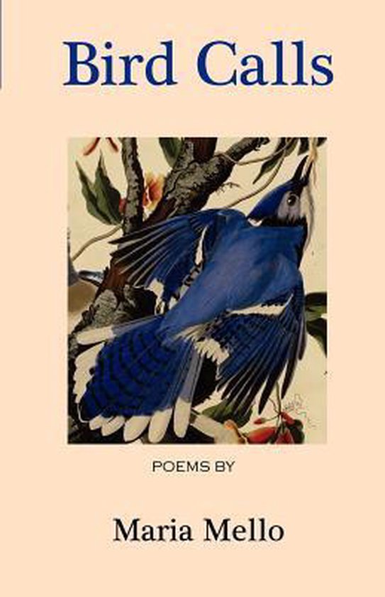 Bird Calls - cover