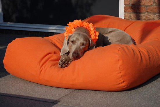 Dog's Companion - Hondenbed Oranje - S - 70 x 50 cm