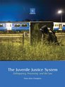 The Juvenile Justice System