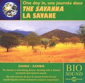 Savanna (Zambia)