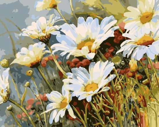 Schilderen op nummers - Margrieten - Bloemen - voor volwassenen | bol.com