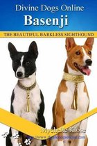 Basenji
