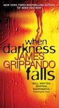 Jack Swyteck Novel 6 - When Darkness Falls