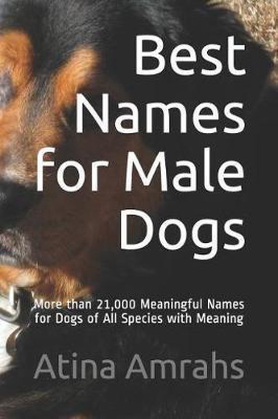 best-names-for-male-dogs-atina-amrahs-9781791712303-boeken-bol