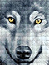 Diamond  Painting Wolf Look 15x20