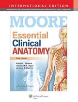 Essential Clinical Anatomy 5e Internatio