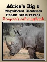 Africa's Big 5 Magnificent Creatures Psalm Bible verses