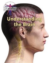 Amazing Human Body- Understanding the Brain