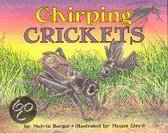 Chirping Crickets, Stage 2