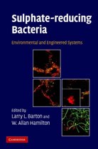 Sulphate-Reducing Bacteria