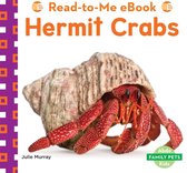 Family Pets - Hermit Crabs