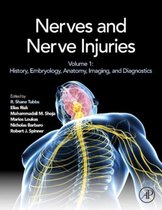 Nerves & Nerve Injuries