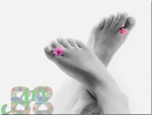 canvas schilderij -  60x80cm - Happy Feet - zwart-wit met rose