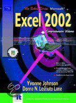 Microsoft Excel 2002