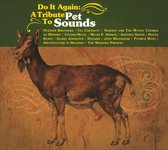 Do It Again: A Tribute to Pet Sounds