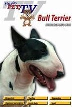 DVD Bull Terrier