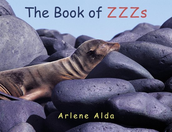 The Book of ZZZs - cover