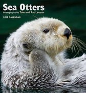 Sea Otters 2018 Wall Calendar
