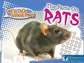 Let's Talk About Pets - The Facts on Rats
