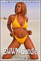 BWWM Bundle - Volume 4 (Interracial Romance BWWM)