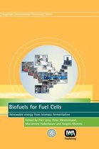 Biofuels for Fuel Cells