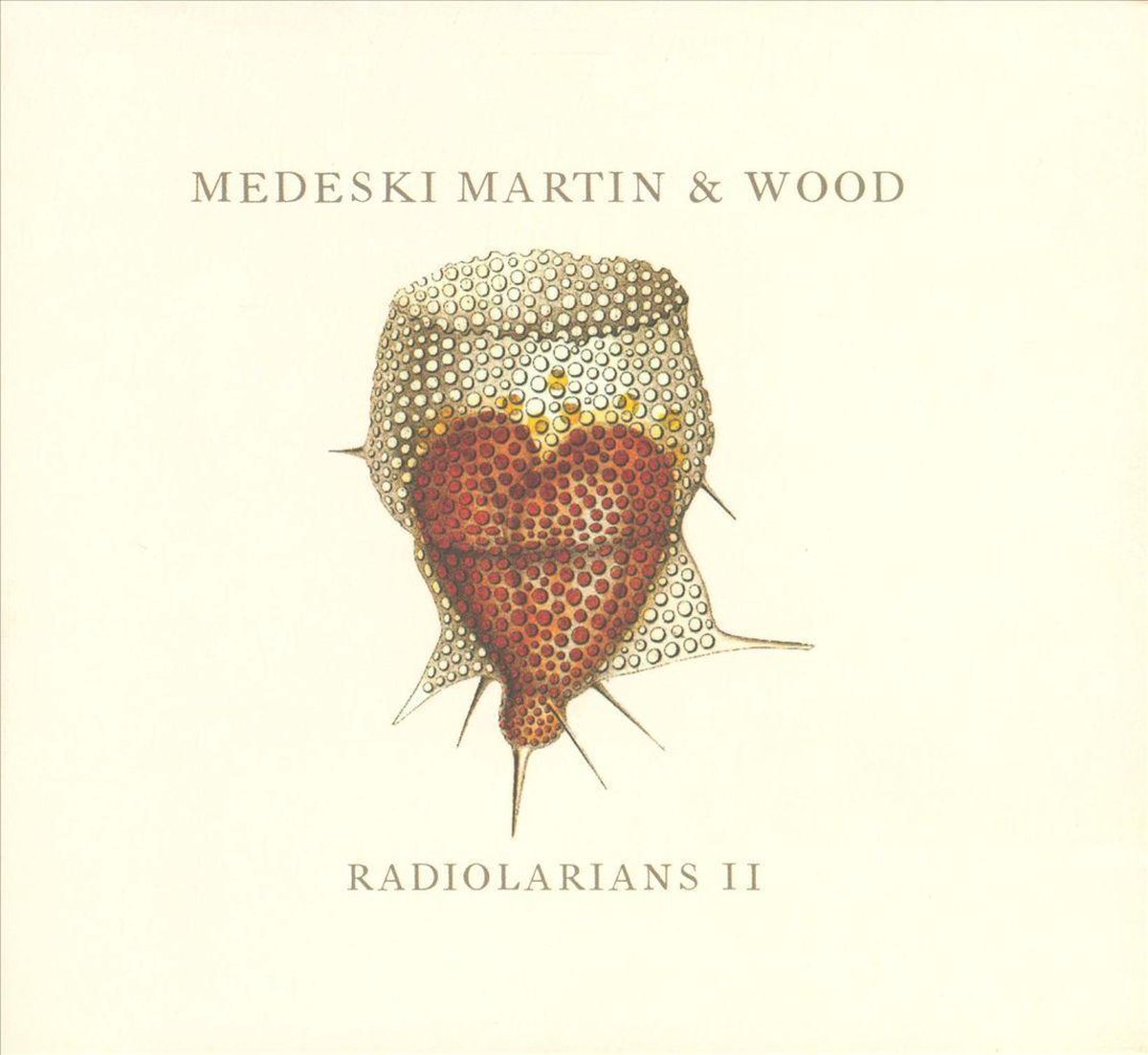 Radiolarians II