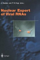 Nuclear Export of Viral RNAs