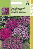 Hortitops Zaden - Aubrietia Hybrida Grandiflora Gemengd