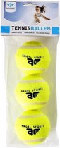 3x Speelgoed tennisballen voor honden - Honden/huisdieren speeltjes