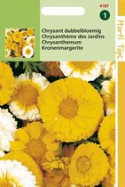 Hortitops Zaden - Chrysanthemum Coronarium Dubbelbloemig Gemengd